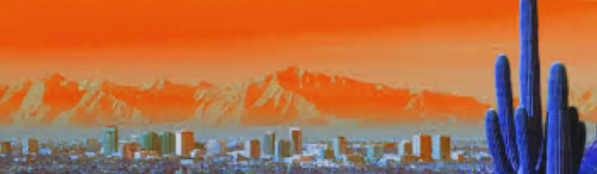 Distorted view of the Phoenix skyline with orange hue and cactus in the foreground.