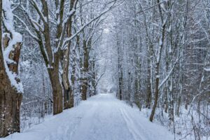 A winter conference can help take the edge off seasonal affective disorder.